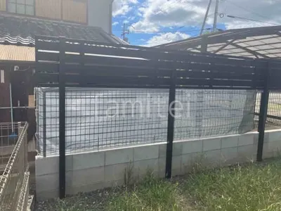 本体色 ブラック