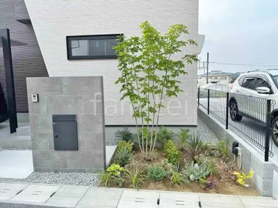 シンボルツリー 落葉樹 アオダモ 植栽