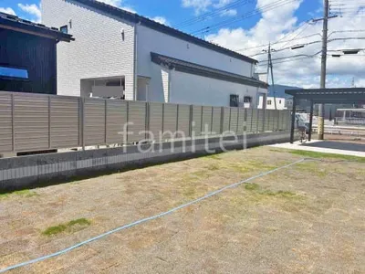 本体色 プラチナステン