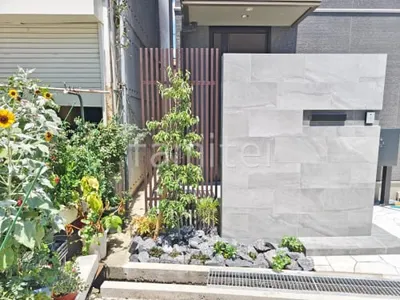 シンボルツリー   ホンコンエンシス 