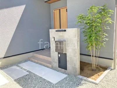 シンボルツリー   シマトネリコ 