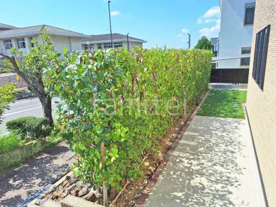 植栽 葉刈り剪定