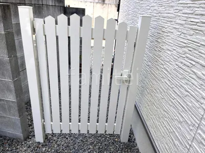 本体色 ホワイト