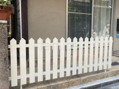 本体色 ホワイト