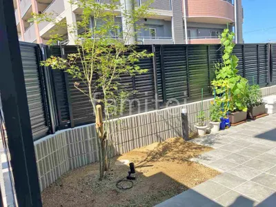 シンボルツリー イロハモミジ 落葉樹 植栽