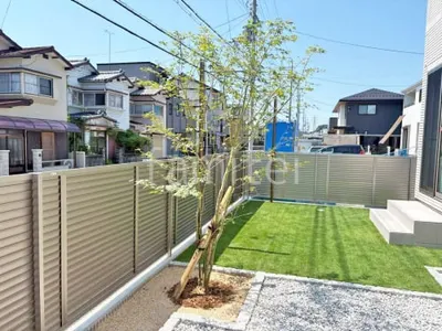 シンボルツリー イロハモミジ 落葉樹 植栽