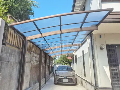 本体色 ブラウン