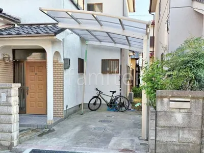 本体色 プラチナステン