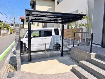 本体色 ブラック