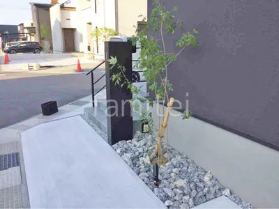 シンボルツリー 落葉樹 アオダモ 植栽 ロックガーデン 揖斐石敷き