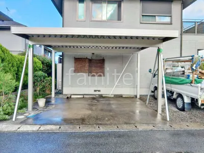 本体色 プラチナステン