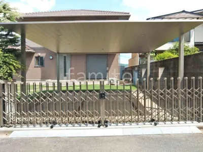 本体色 プラチナステン