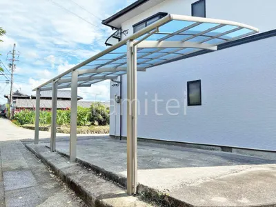 本体色 シャイングレー