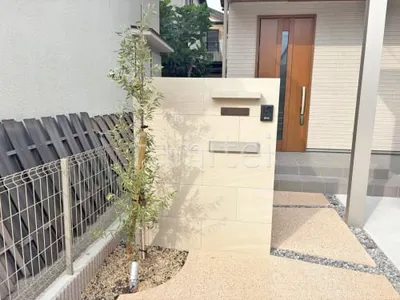 シンボルツリー オリーブ 常緑樹 植栽