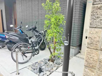 シンボルツリー ホンコンエンシス ロックガーデン 割栗石敷き