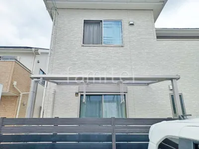 本体色 プラチナステン