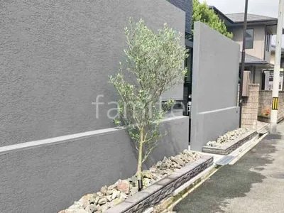 シンボルツリー オリーブ 常緑樹 植栽