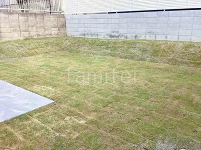 芝生張り 姫高麗芝