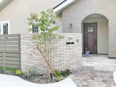 シンボルツリー   ホンコンエンシス 