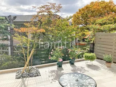 シンボルツリー イロハモミジ 落葉樹 植栽 ロックガーデン 割栗石敷き