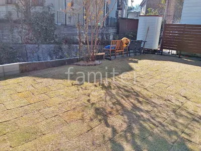 芝生張り 姫高麗芝