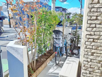 植栽 葉刈り剪定