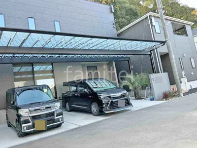 本体色 ブラック