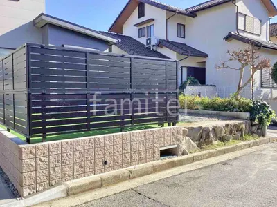 本体色 ブラック