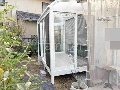 本体色 ホワイト