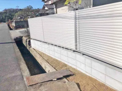 本体色 プラチナステン