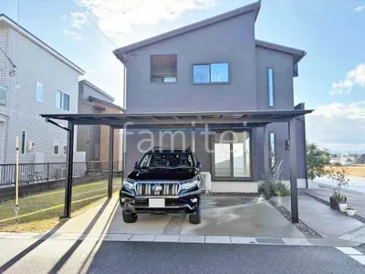 本体色 ブラック