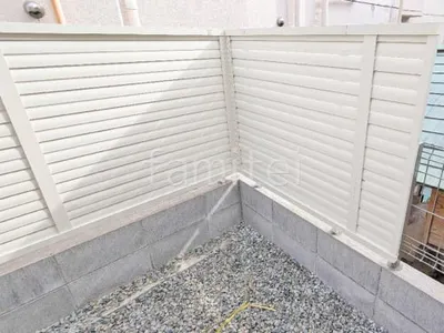 本体色 ホワイト