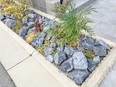 ロックガーデン ユニソン ワズロック アオバ