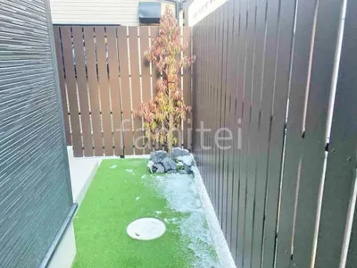 シンボルツリー   ホンコンエンシス 