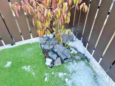 ロックガーデン ユニソン ワズロック アオバ