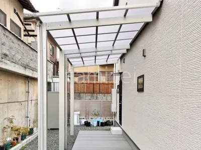 本体色 プラチナステン