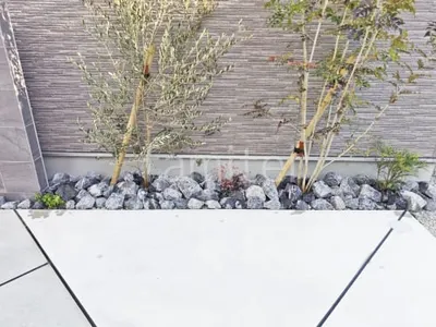 ロックガーデン ユニソン ワズロック アオバ