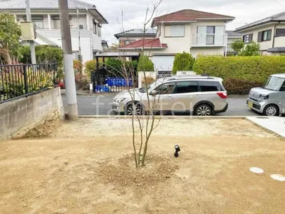 シンボルツリー コハウチハカエデ