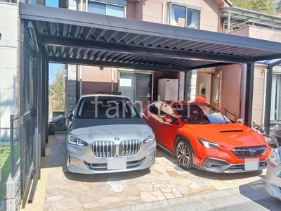 本体色 ブラック