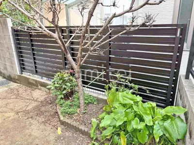 本体色 カームブラック