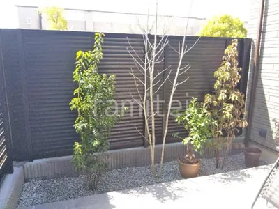 シンボルツリー ソヨゴ ホンコンエンシス アオダモ