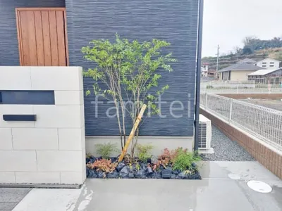 シンボルツリー シマトネリコ 常緑樹 植栽 ロックガーデン 東洋工業 クラッシュロック スモールサイズ