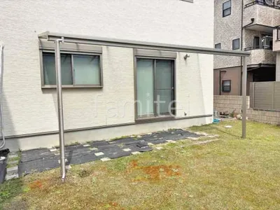 本体色 プラチナステン