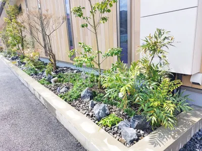 ロックガーデン ユニソン ワズロック アオバ