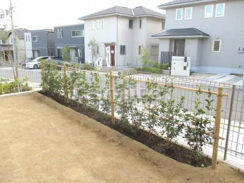 生垣 ヒイラギモクセイ 常緑樹 植栽