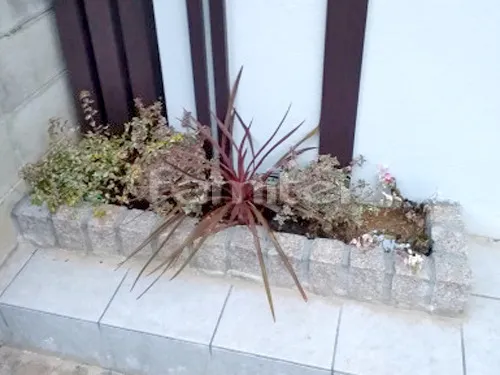 ピンコロ石花壇 下草 低木 植栽