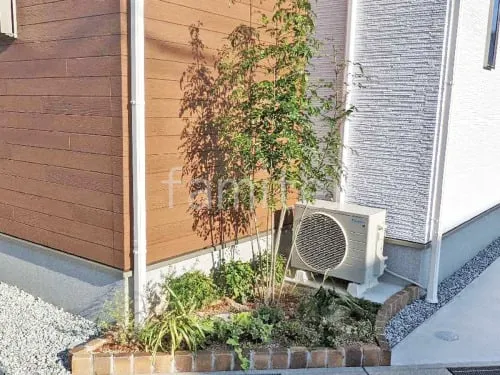 シンボルツリー シマトネリコ 常緑樹 下草 植栽