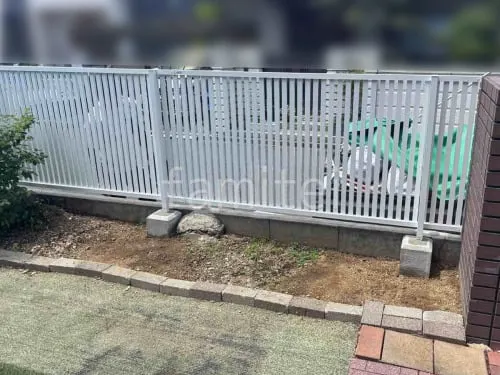 本体色 ホワイト
