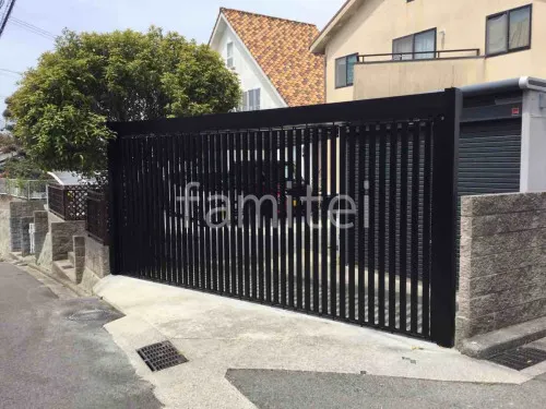 本体色 ブラック