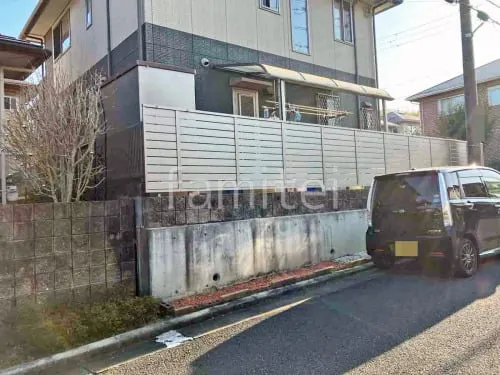 本体色 シャイングレー